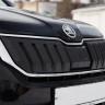 Зимний экран верхний, (текстурный пластик) для Skoda Kodiaq (2016-2021) купить недорого с доставкой в Волжск